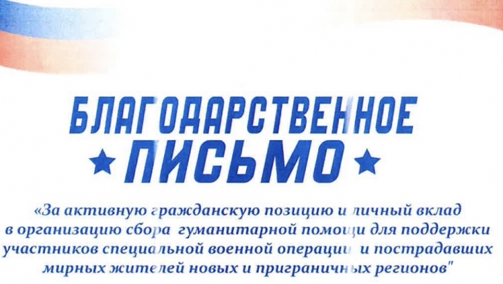 Благодарность от волонтерской группы «Питер — СВОим»